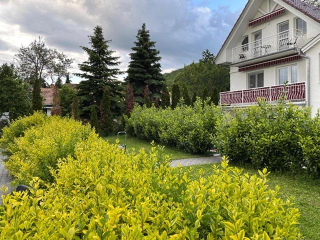 阿斯托利亚别墅住宿加早餐旅馆 Balatongyörök 外观 照片